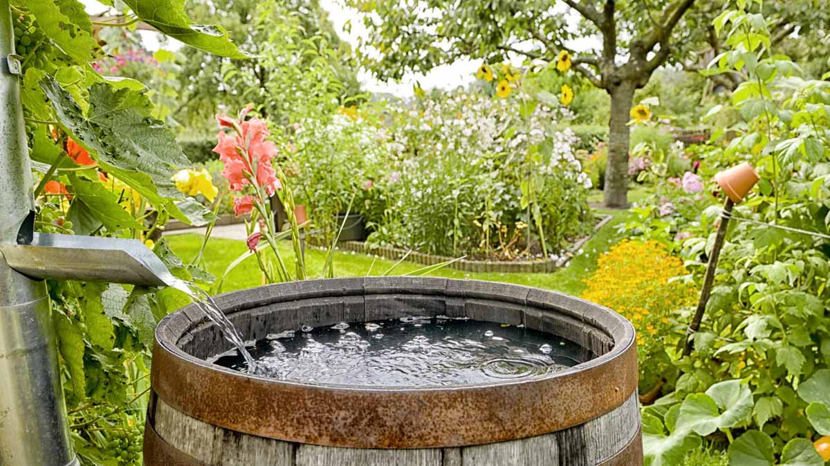 récupérateur d’eau