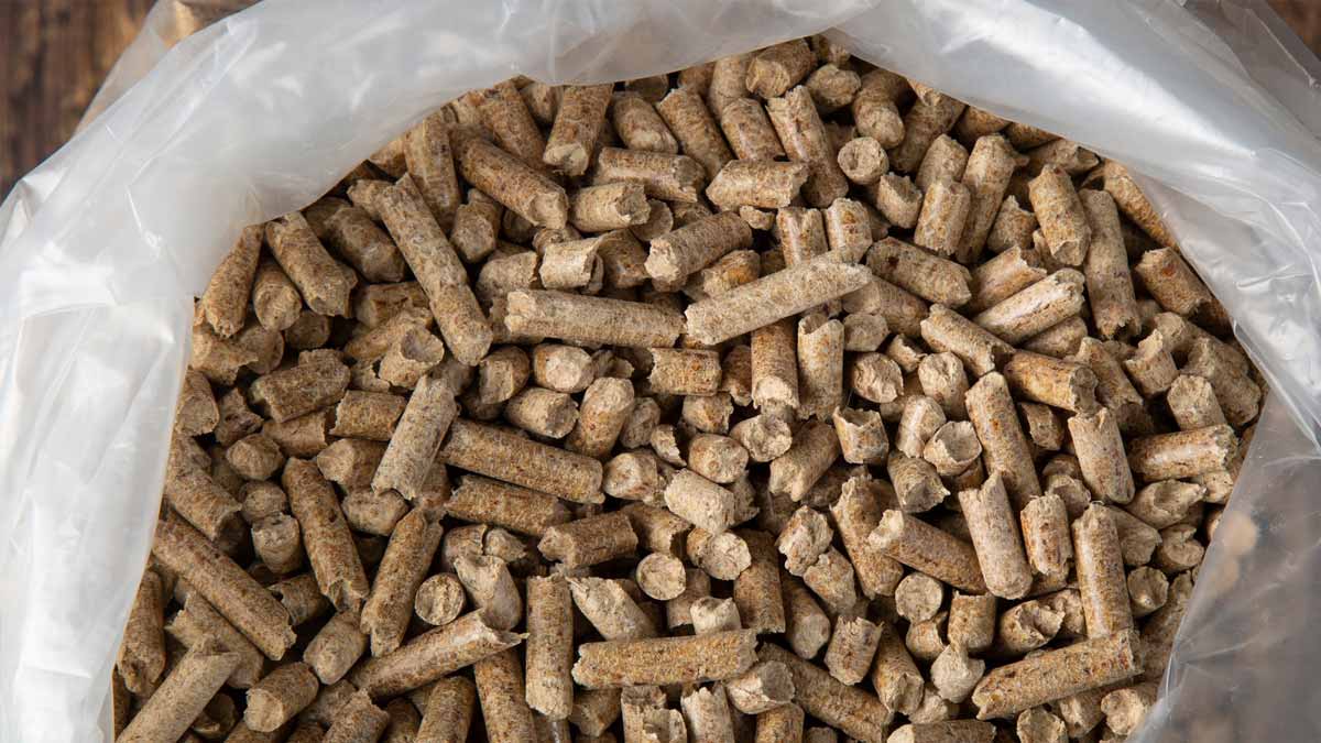 pellets