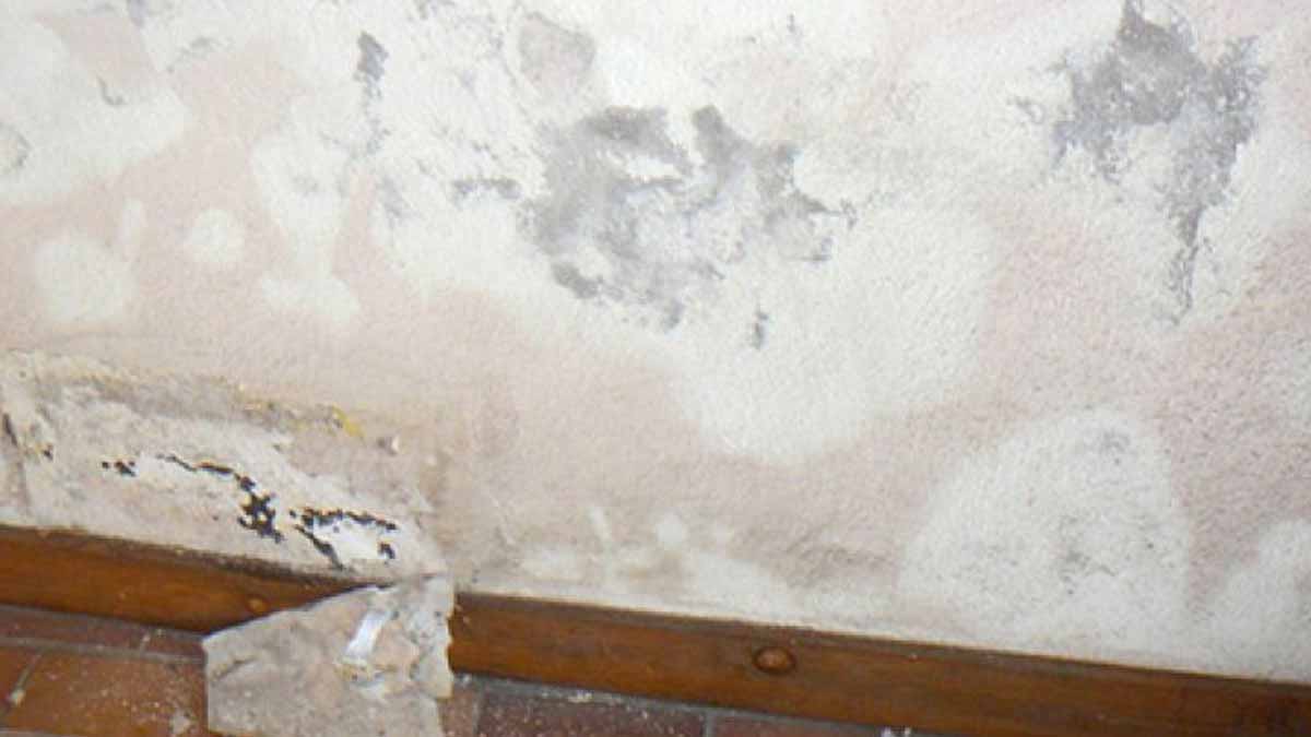 traces d’humidité